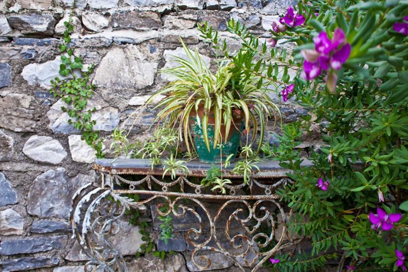 Victoria'S Guesthouse Damouchari Exterior foto